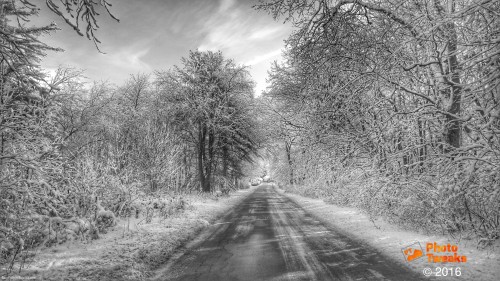 Snowy Back Road