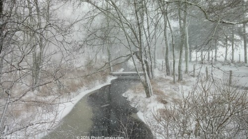 Winter Stream - 1-23-16