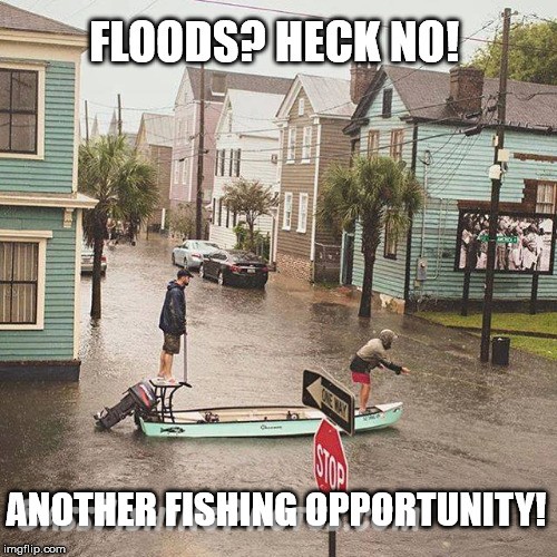 Another fishing opportunity meme