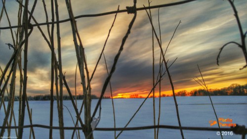 Snowy Meadow Seen Through The Fence