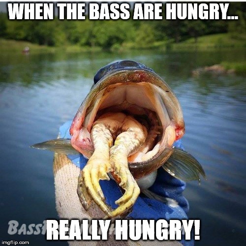 When the bass are hungry meme