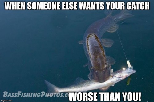fish thief meme