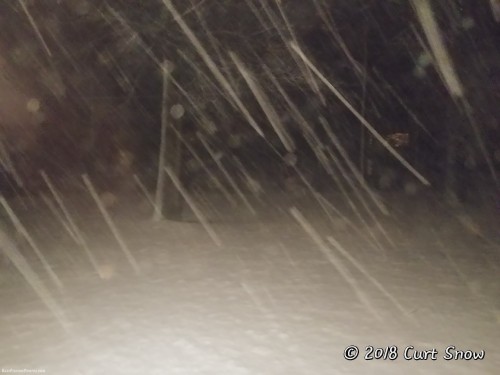 March-7-Snowfall.jpg