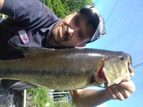 Largemouth Bass caught French river Thompson CT.